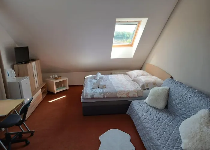 Guest house Restaurace A U Lesa Havirov